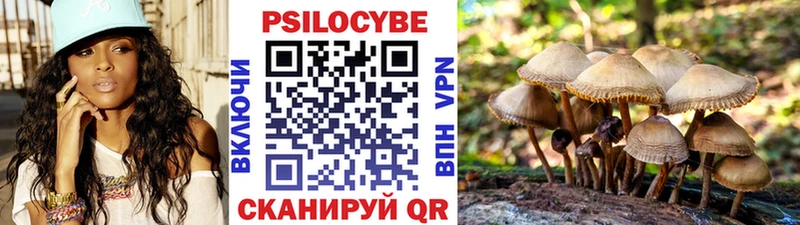 Галлюциногенные грибы ЛСД  как найти закладки  Бологое 